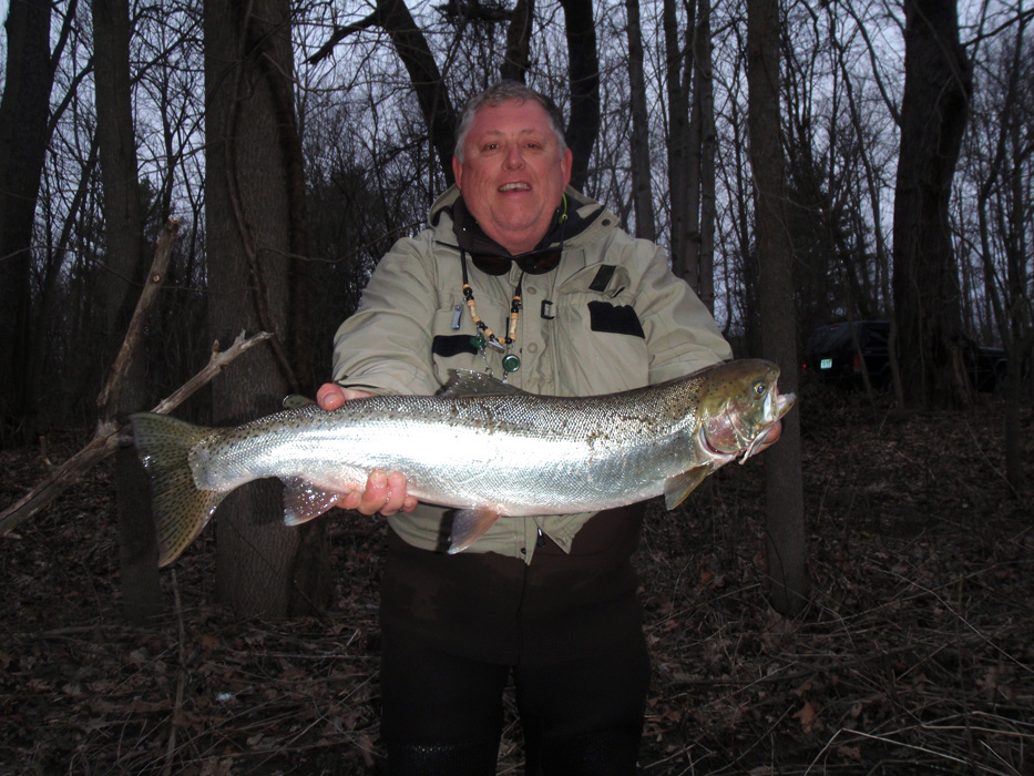 Spring Steelhead